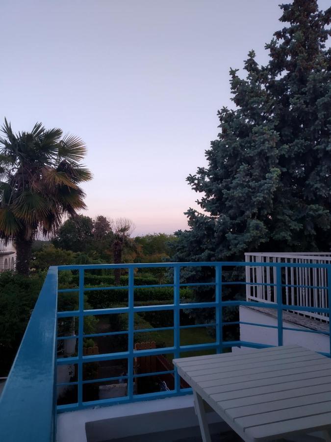 Sea Explorer House Novigrad  Bagian luar foto